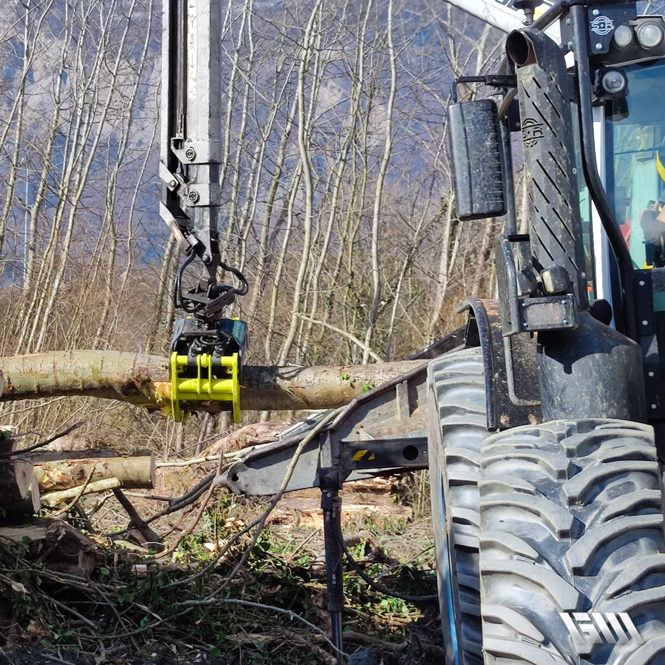 Grappin forestier LASCO